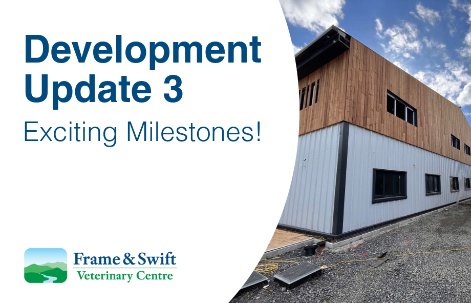 New premises development update - Exciting Milestones | Frame & Swift Vets