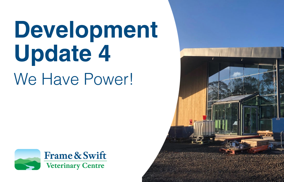 Development update 4 of new vet premises | Frame & Swift